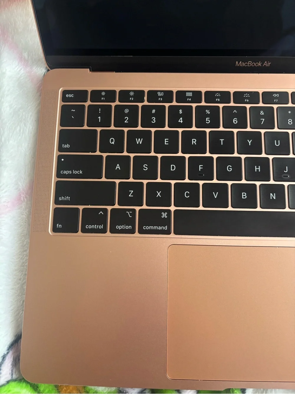 Apple MacBook in Rose Gold